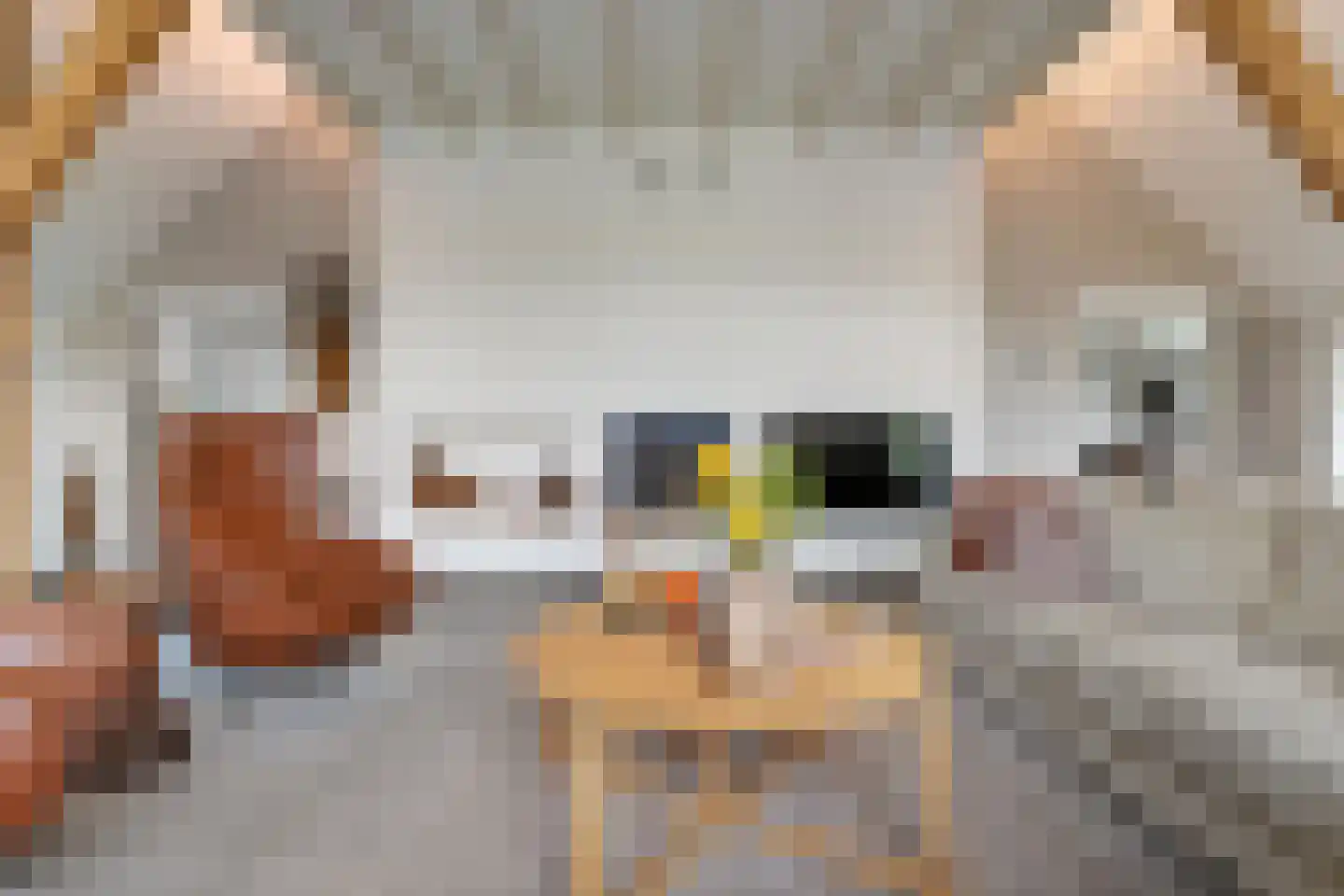 Kleine Veerweg 8 Zwolle thumbnail 16