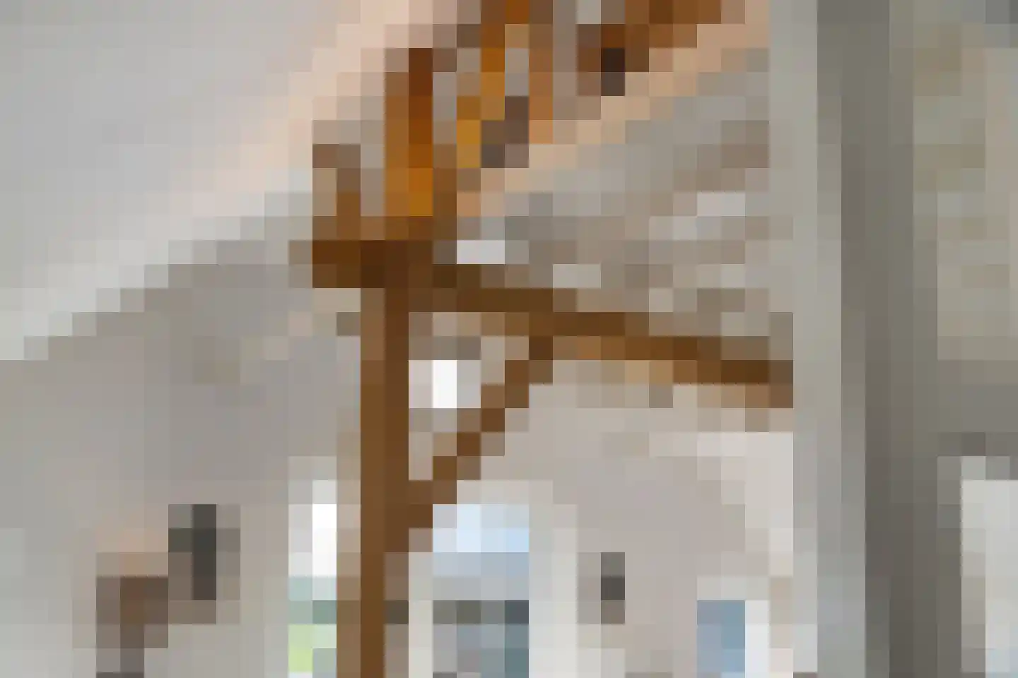 Kleine Veerweg 8 Zwolle thumbnail 19