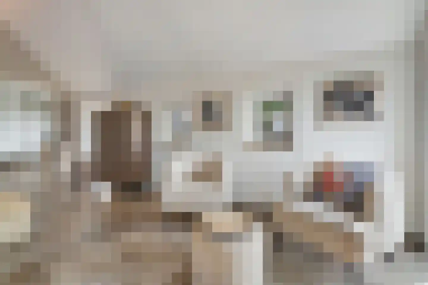 Kleine Veerweg 8 Zwolle thumbnail 20
