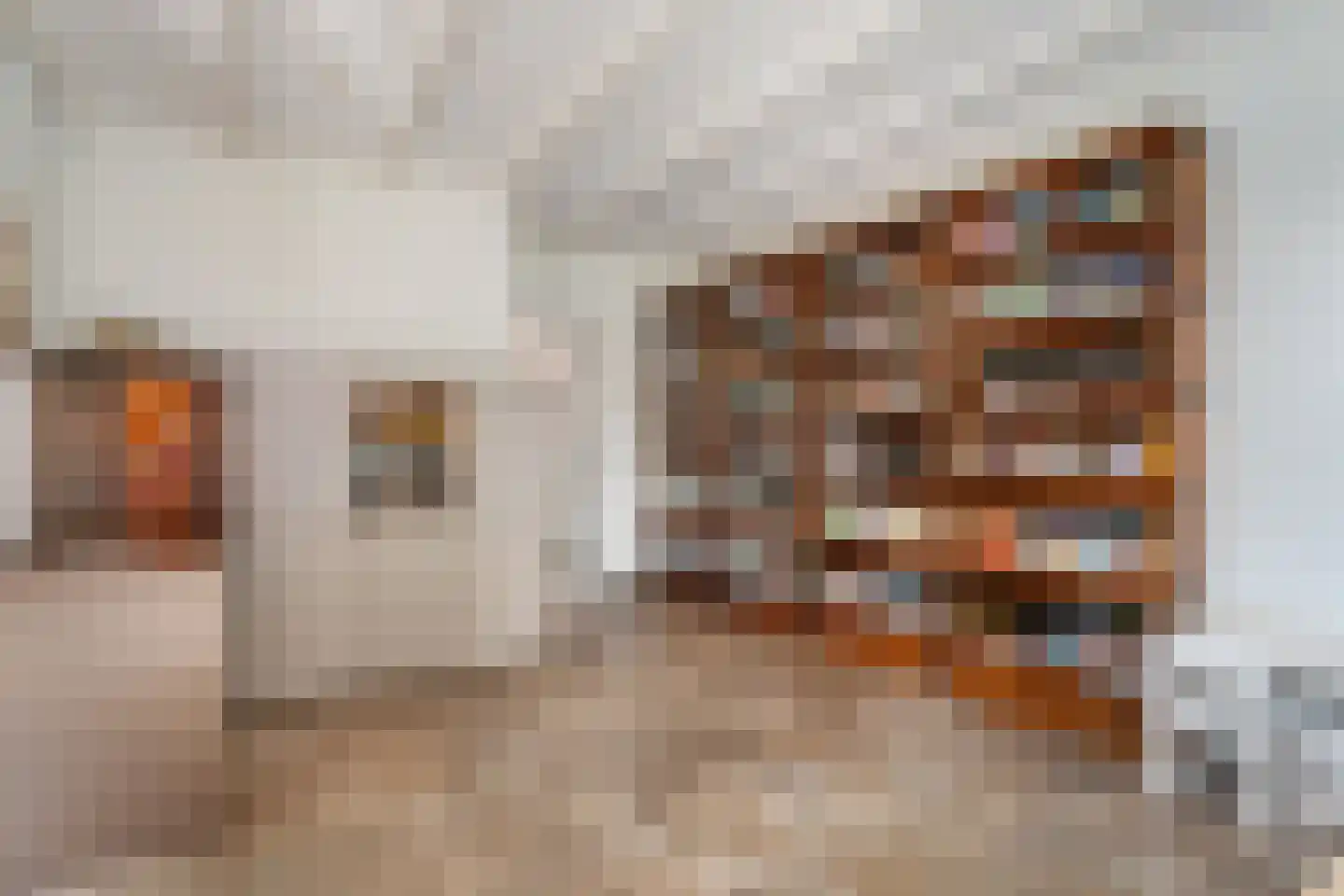 Kleine Veerweg 8 Zwolle thumbnail 22