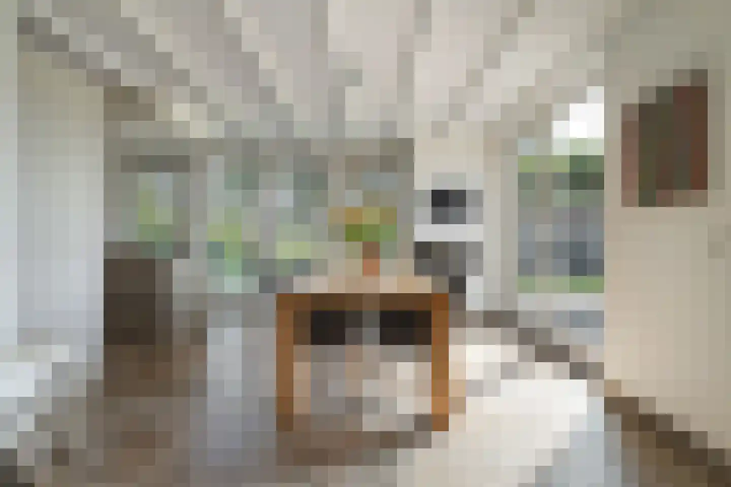 Kleine Veerweg 8 Zwolle thumbnail 23