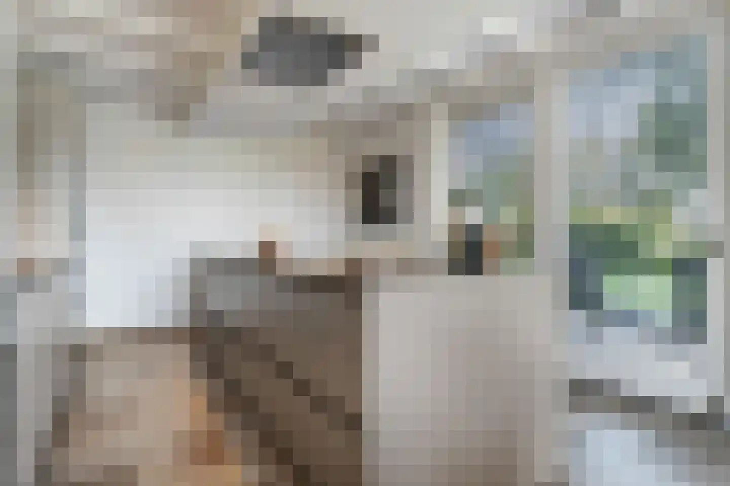 Kleine Veerweg 8 Zwolle thumbnail 27