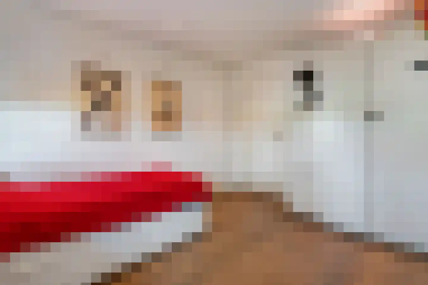 Kleine Veerweg 8 Zwolle thumbnail 40