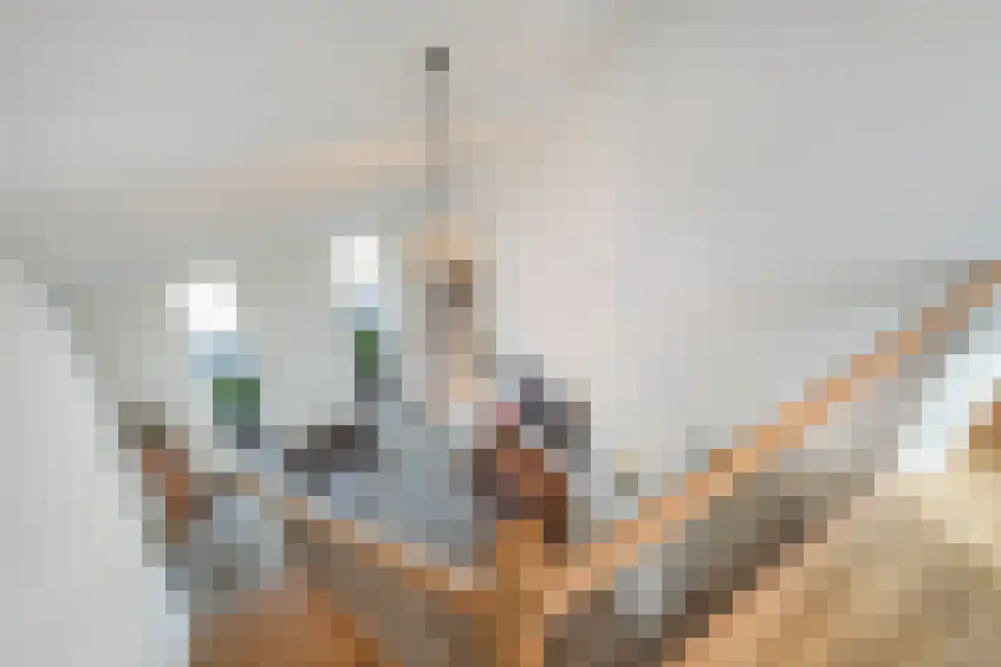 Kleine Veerweg 8 Zwolle thumbnail 41