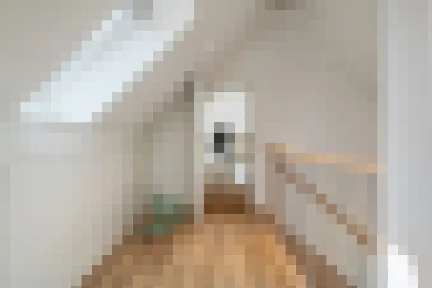 Kleine Veerweg 8 Zwolle thumbnail 43