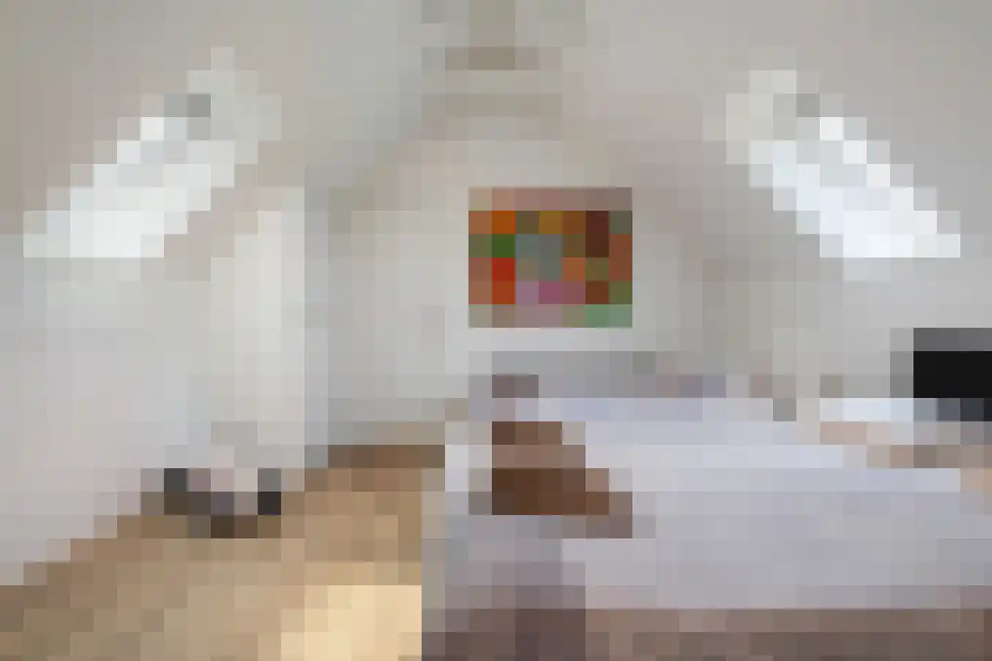 Kleine Veerweg 8 Zwolle thumbnail 45