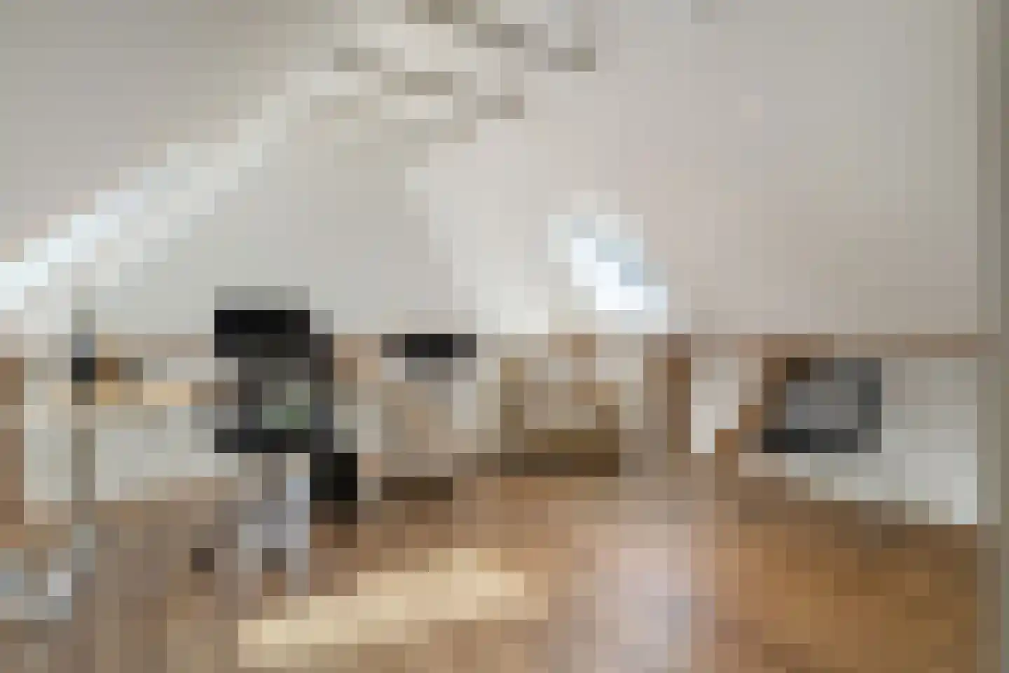 Kleine Veerweg 8 Zwolle thumbnail 48