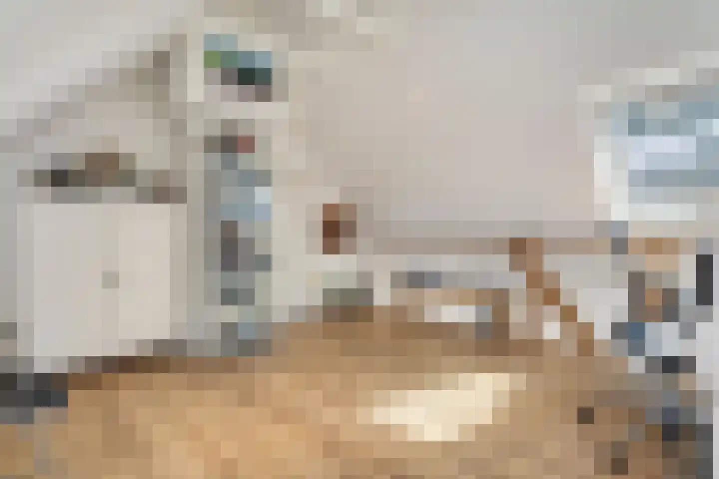 Kleine Veerweg 8 Zwolle thumbnail 50