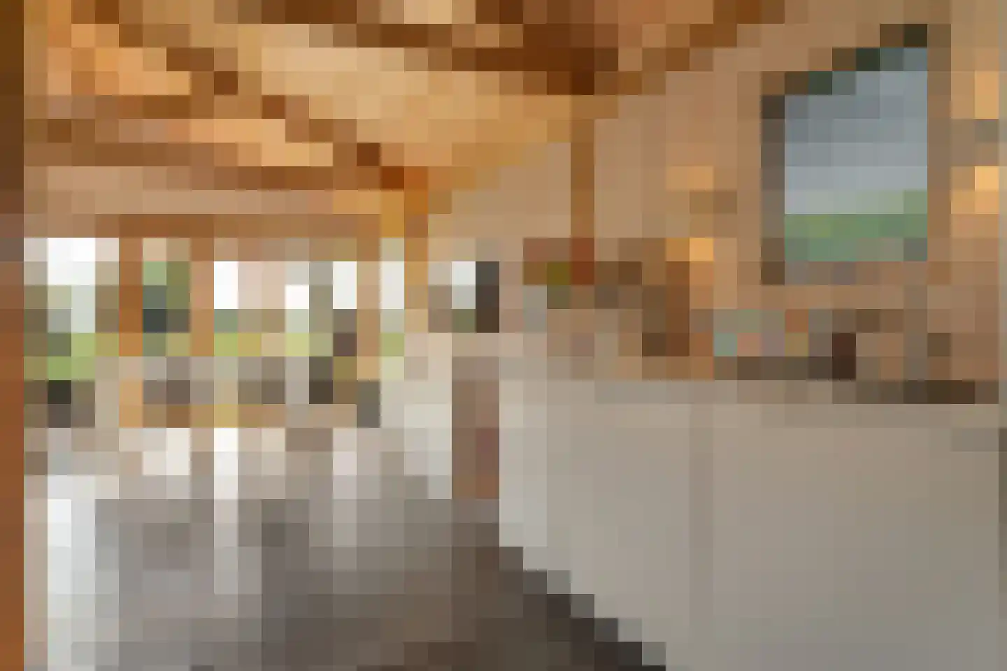 Kleine Veerweg 8 Zwolle thumbnail 57