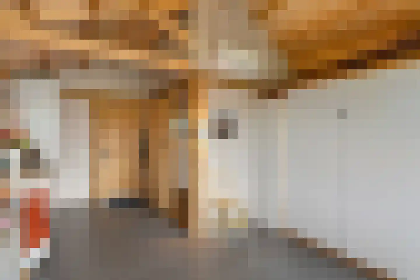 Kleine Veerweg 8 Zwolle thumbnail 60