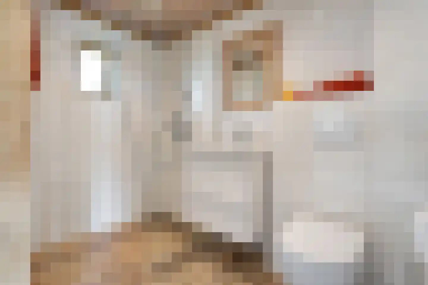 Kleine Veerweg 8 Zwolle thumbnail 61