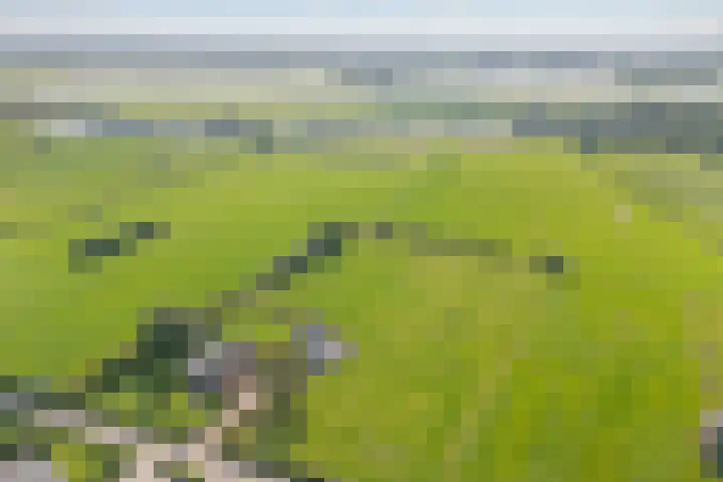 Kleine Veerweg 8 Zwolle thumbnail 73