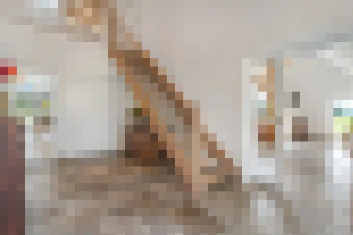 Kleine Veerweg 8 Zwolle thumbnail 9