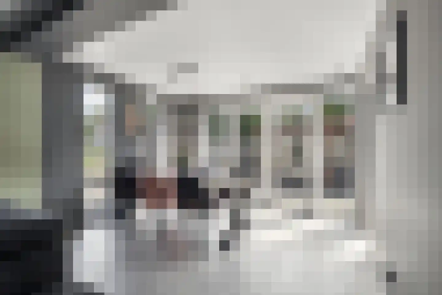 Kleine Vest 1 Ooltgensplaat thumbnail 13