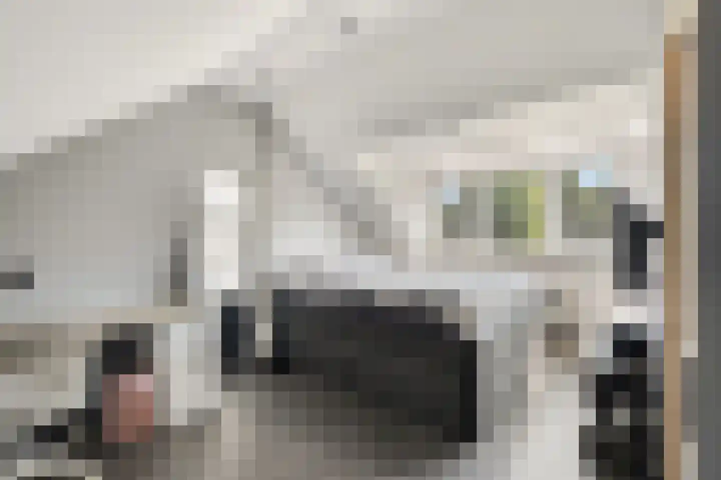 Kleine Vest 1 Ooltgensplaat thumbnail 31
