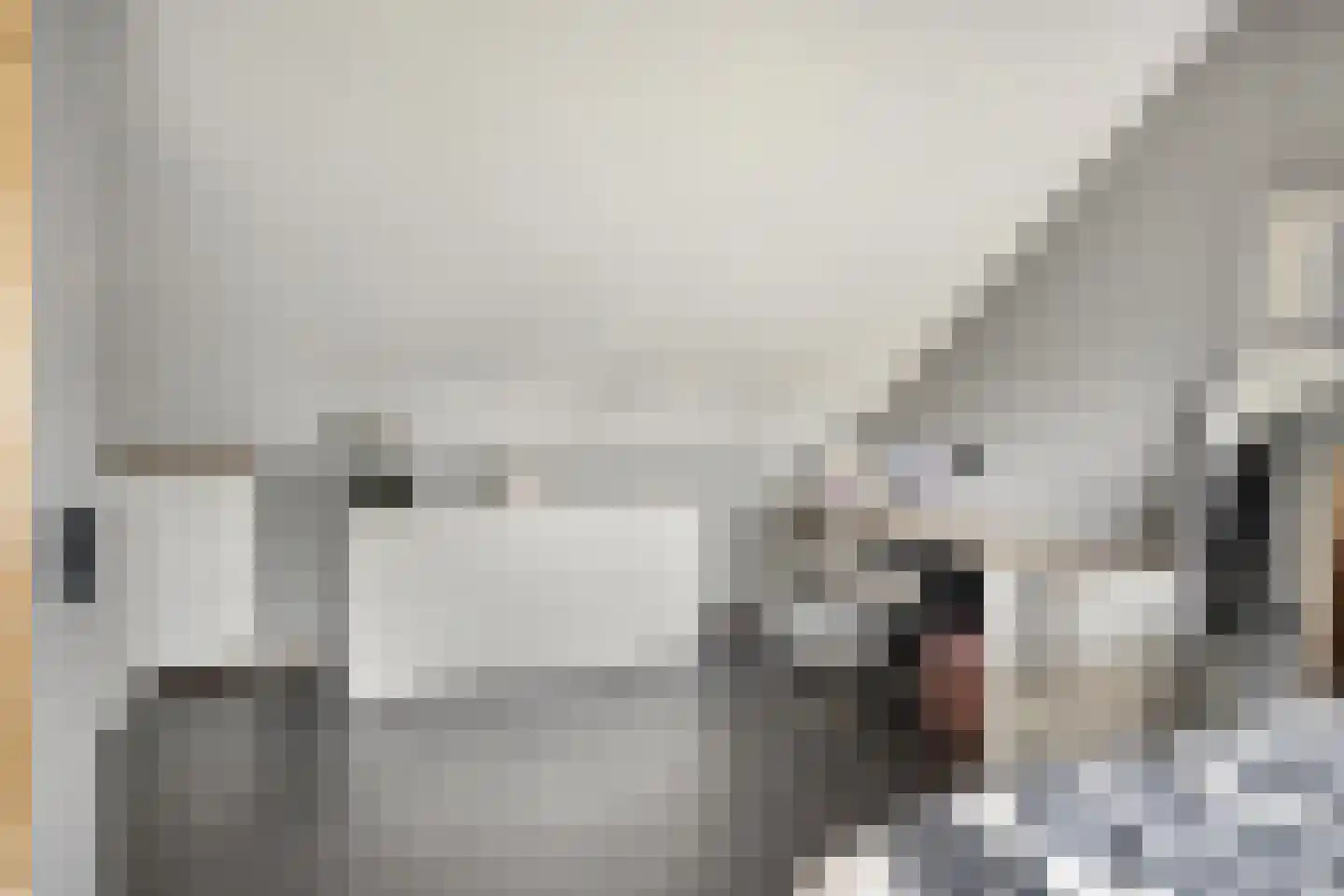 Kleine Vest 1 Ooltgensplaat thumbnail 32