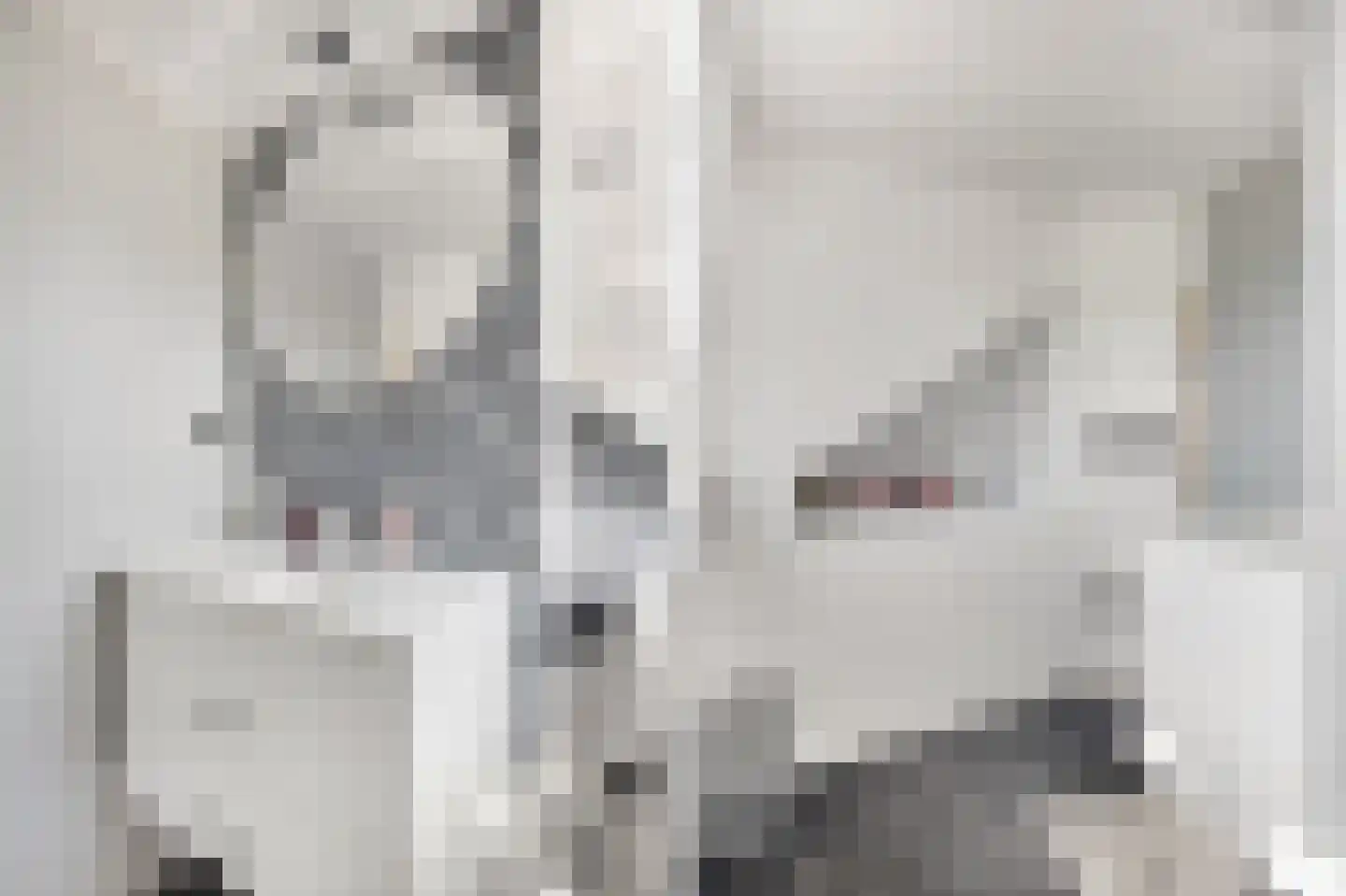 Kleine Vest 1 Ooltgensplaat thumbnail 34