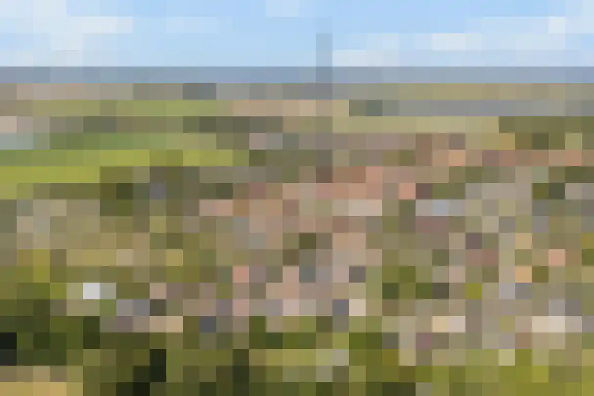 Kleine Vest 1 Ooltgensplaat thumbnail 36