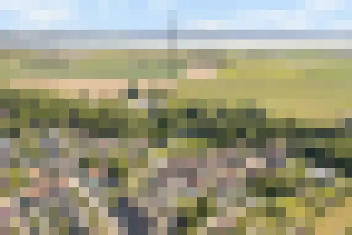 Kleine Vest 1 Ooltgensplaat thumbnail 37