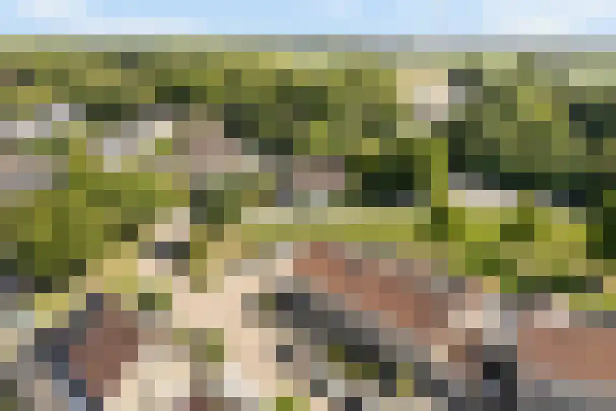 Kleine Vest 1 Ooltgensplaat thumbnail 38