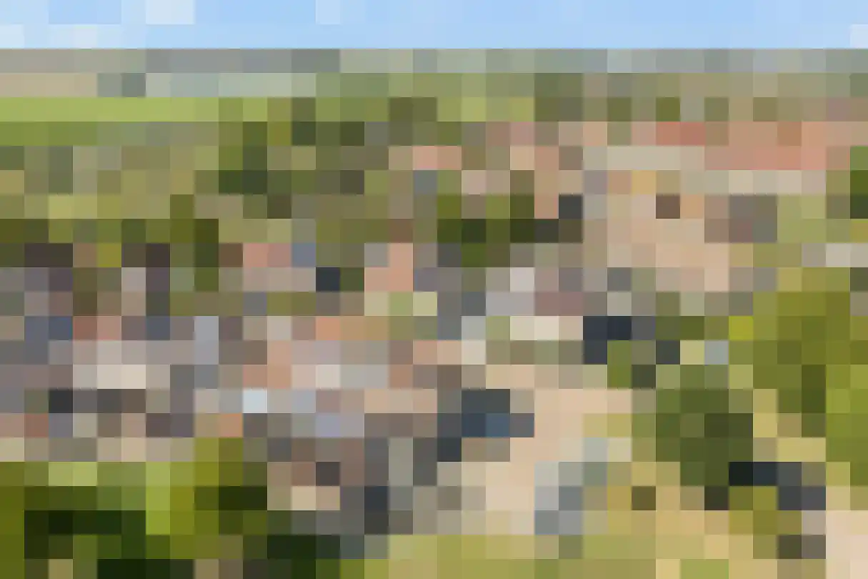 Kleine Vest 1 Ooltgensplaat thumbnail 39