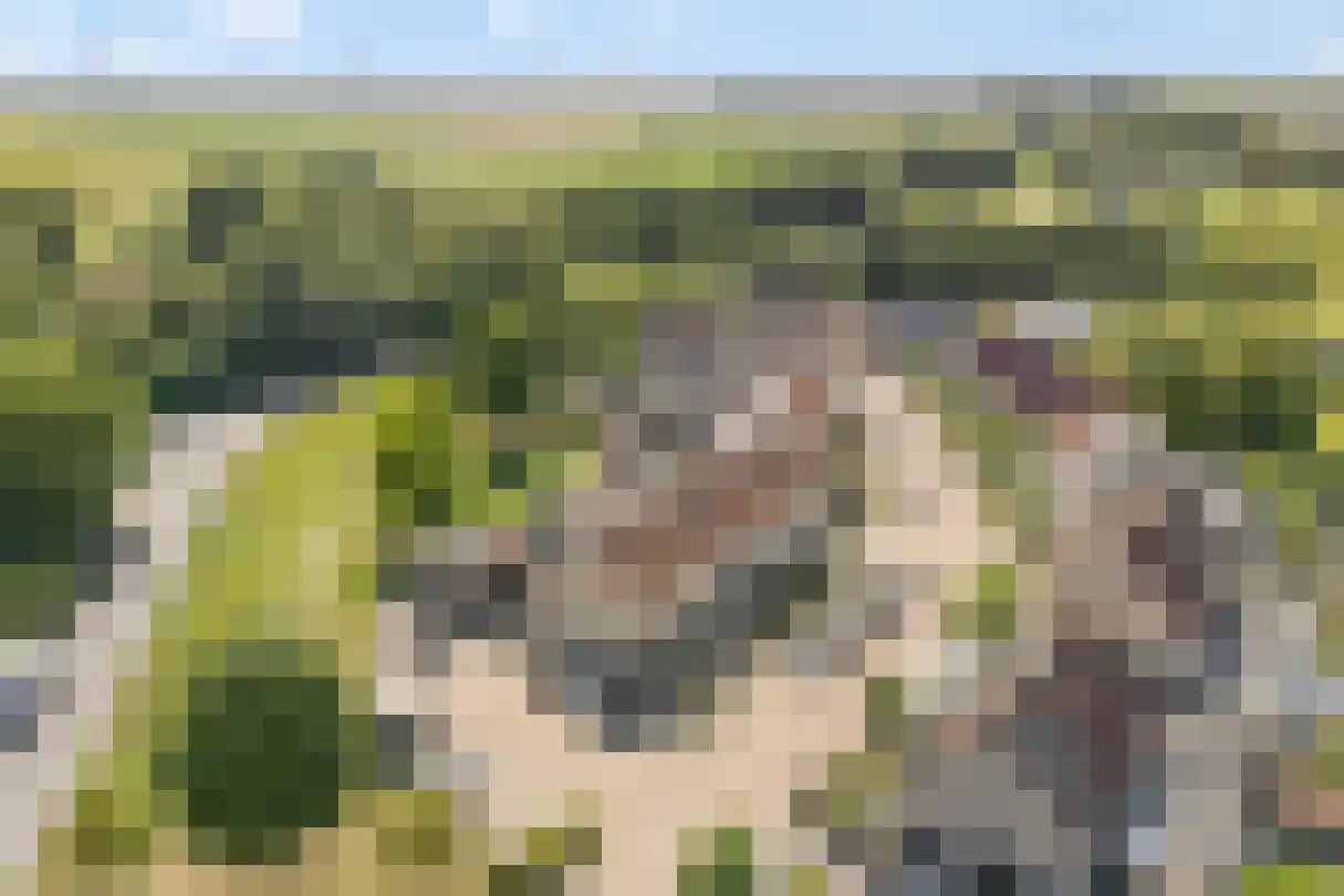 Kleine Vest 1 Ooltgensplaat thumbnail 5