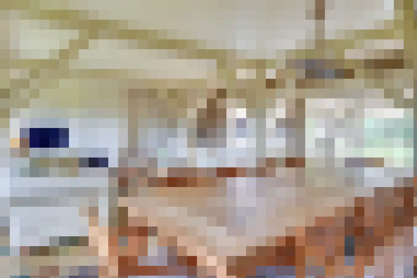 Kleine Voort 9 Hilvarenbeek thumbnail 17