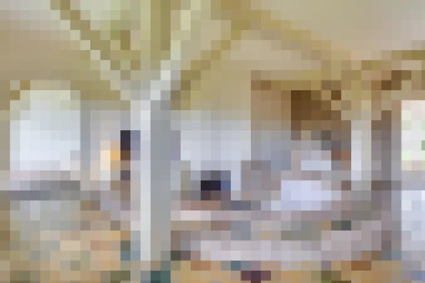 Kleine Voort 9 Hilvarenbeek thumbnail 18