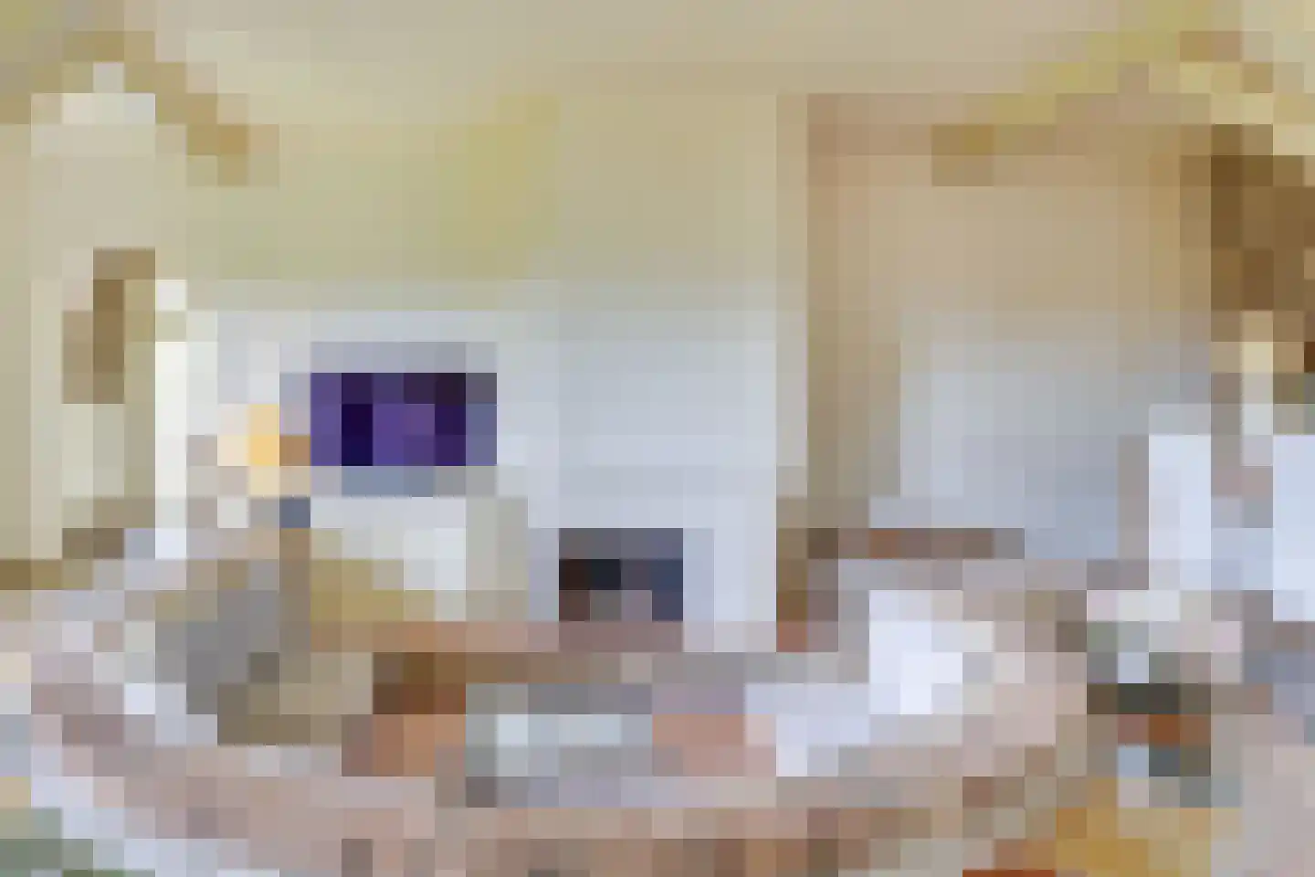 Kleine Voort 9 Hilvarenbeek thumbnail 19