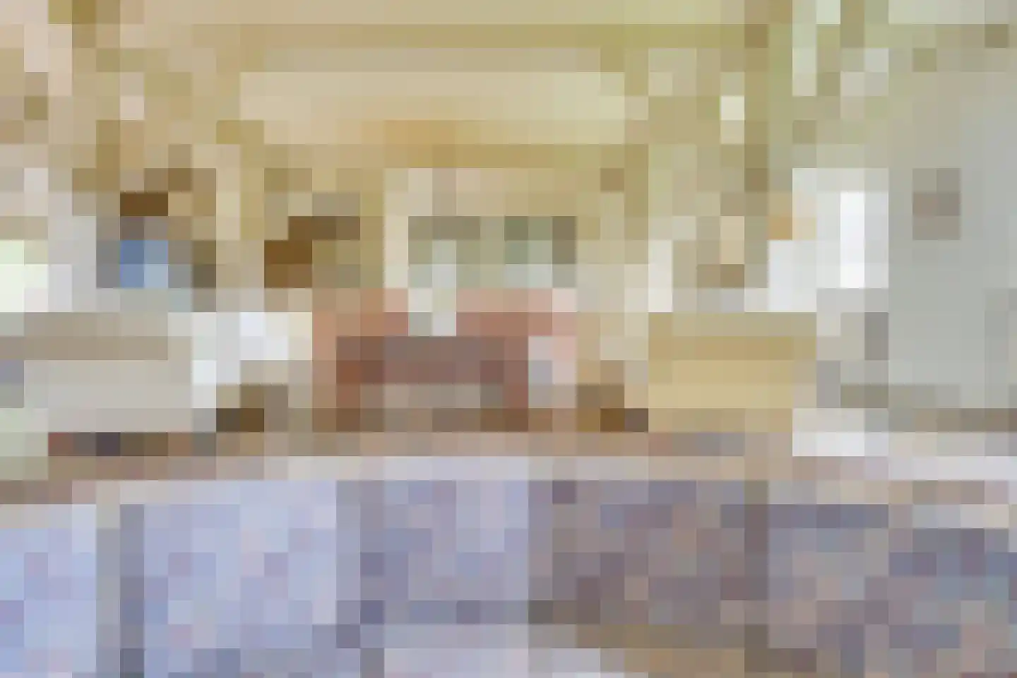 Kleine Voort 9 Hilvarenbeek thumbnail 20