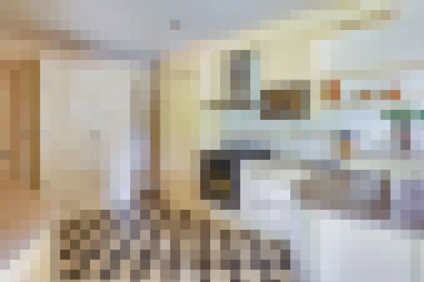 Kleine Voort 9 Hilvarenbeek thumbnail 23
