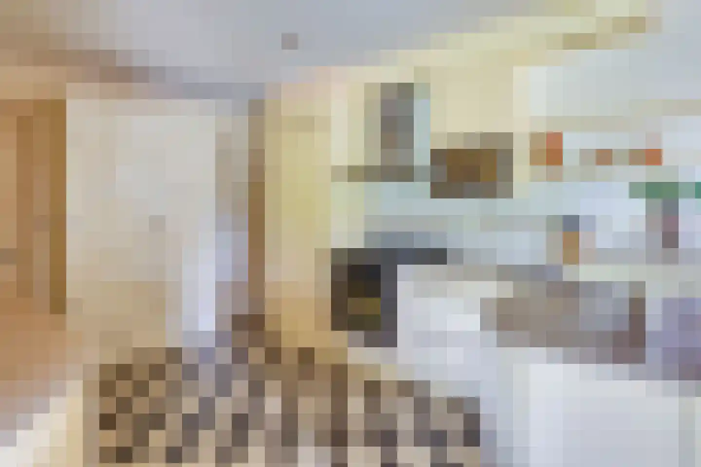Kleine Voort 9 Hilvarenbeek thumbnail 24