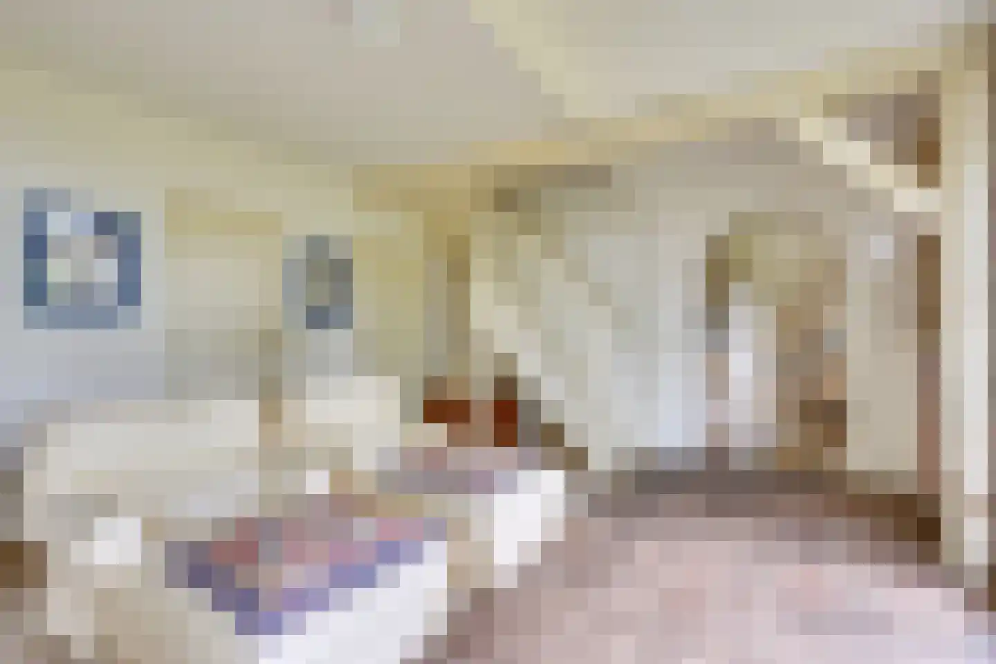 Kleine Voort 9 Hilvarenbeek thumbnail 25