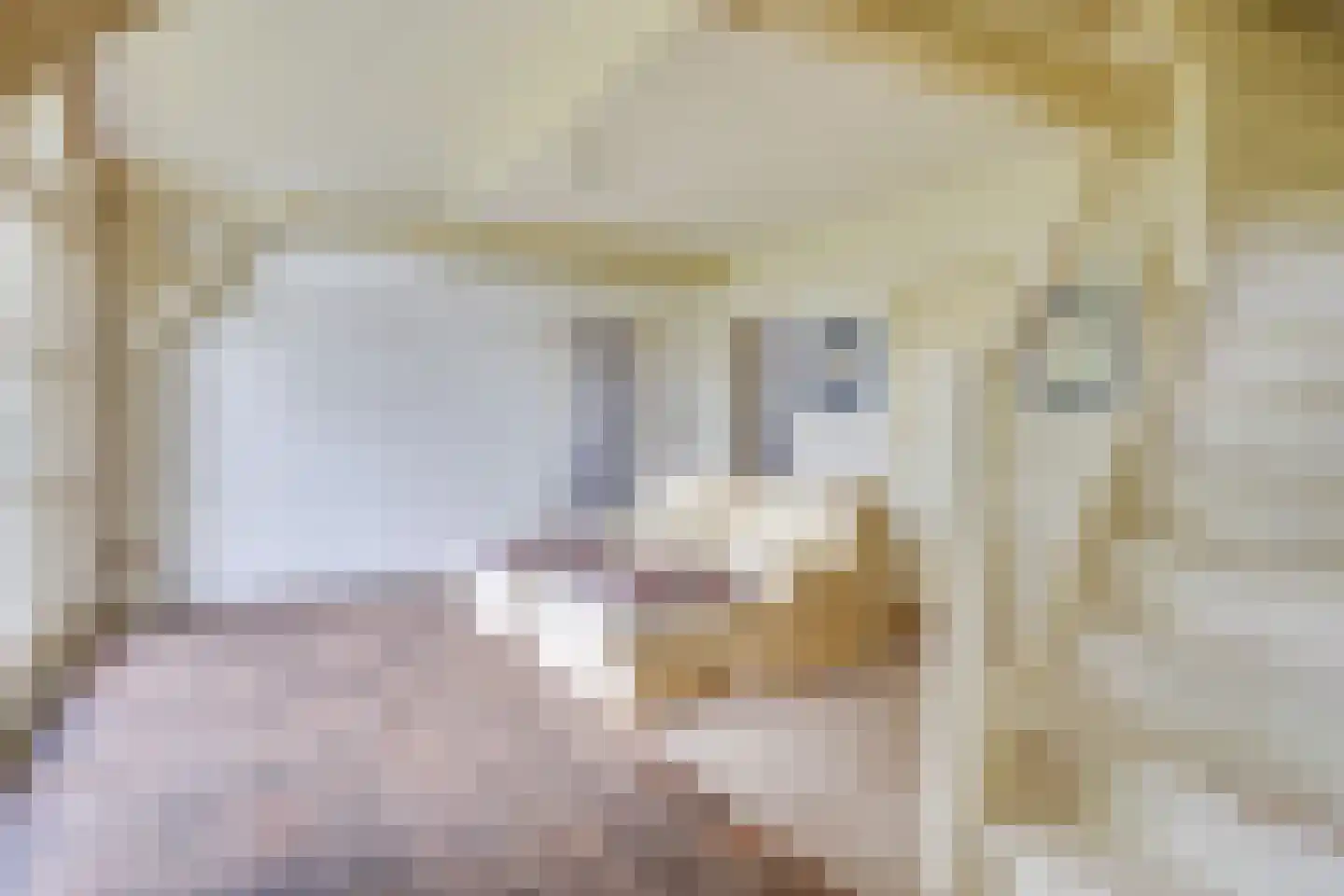 Kleine Voort 9 Hilvarenbeek thumbnail 26