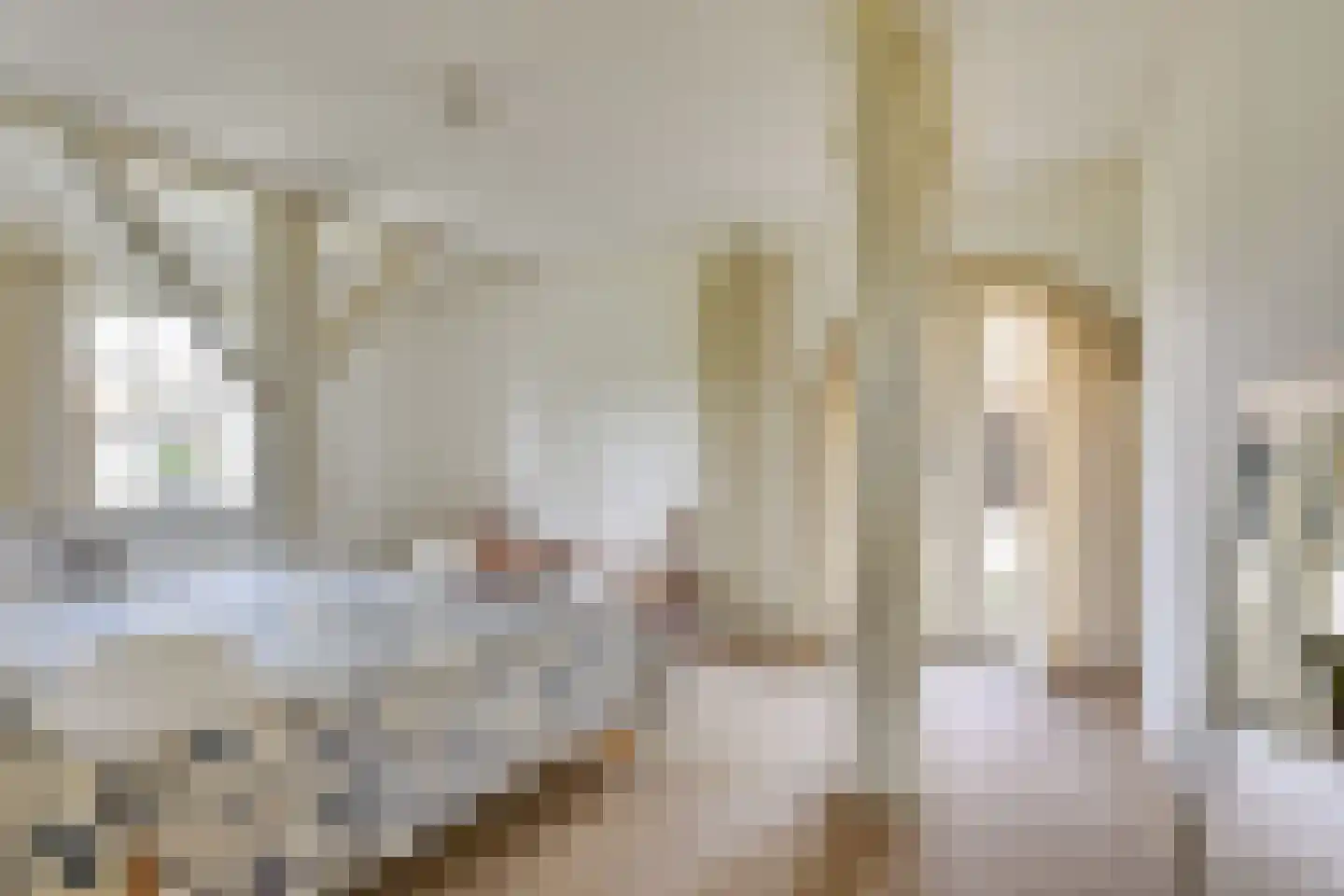 Kleine Voort 9 Hilvarenbeek thumbnail 27