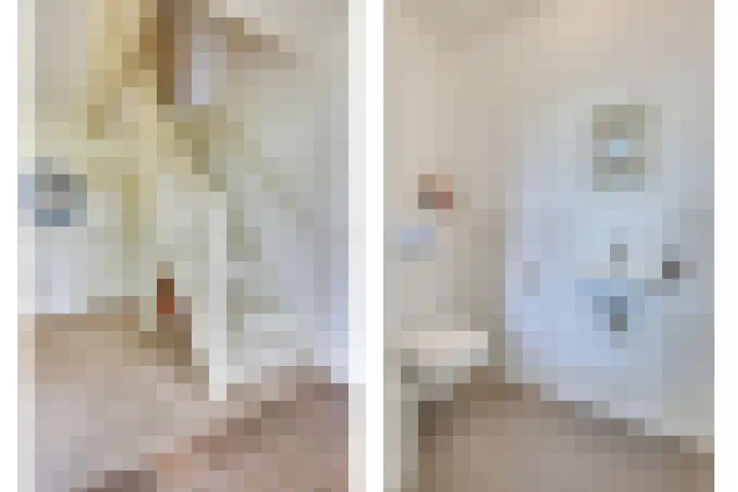 Kleine Voort 9 Hilvarenbeek thumbnail 32