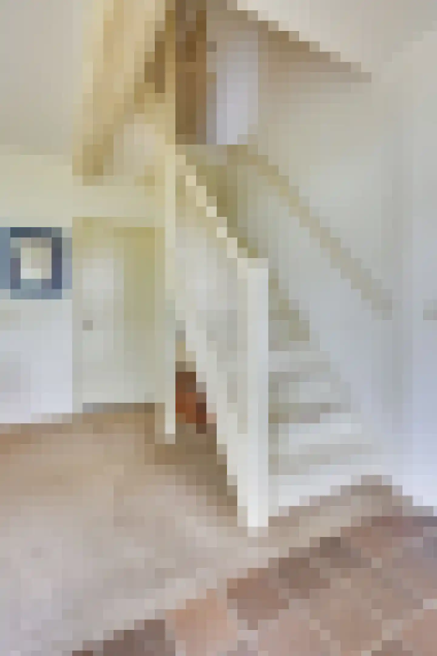 Kleine Voort 9 Hilvarenbeek thumbnail 33