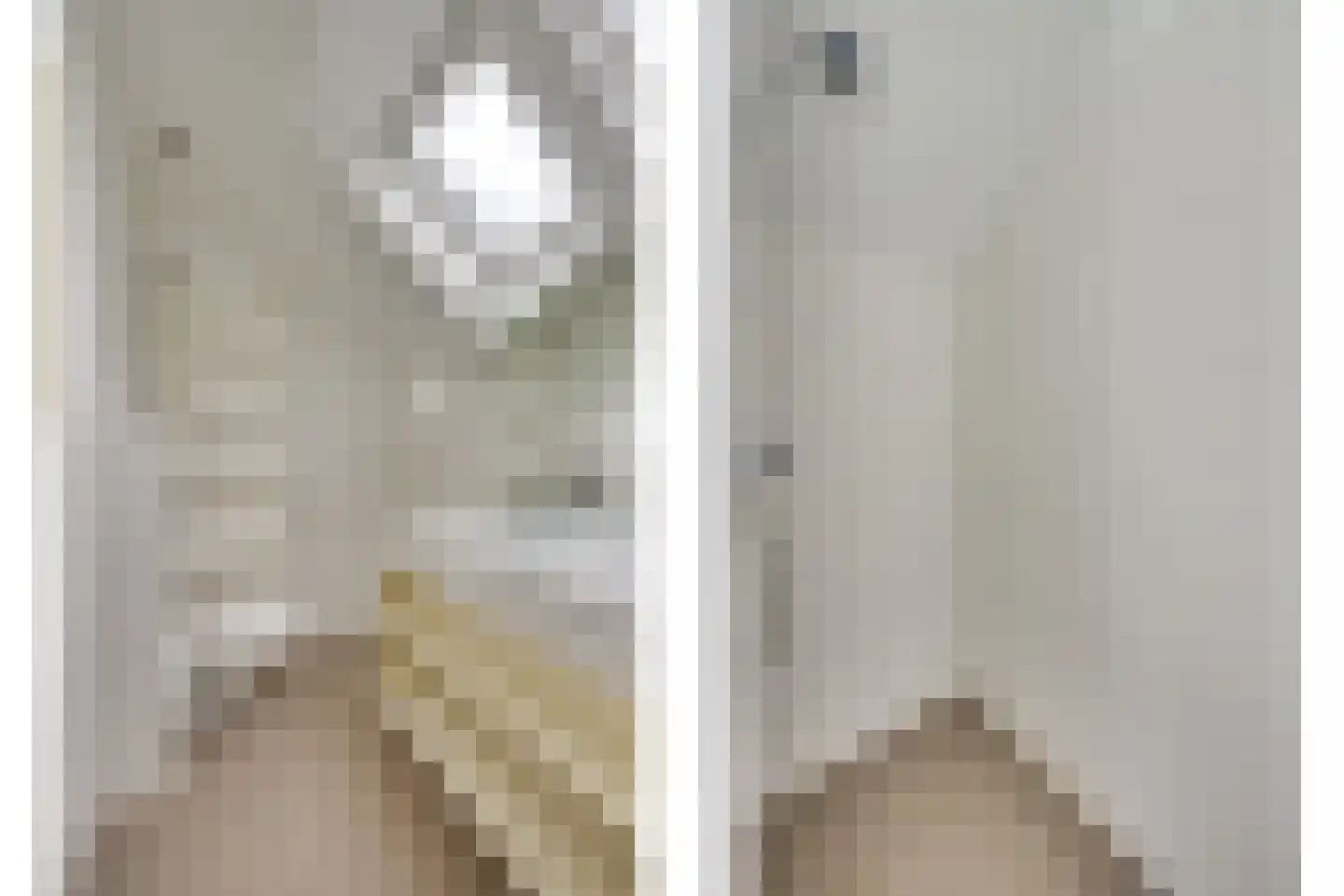 Kleine Voort 9 Hilvarenbeek thumbnail 38