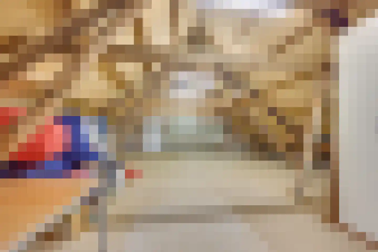 Kleine Voort 9 Hilvarenbeek thumbnail 43