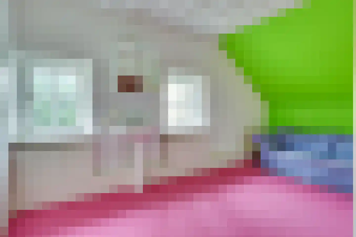 Kleine Voort 9 Hilvarenbeek thumbnail 46