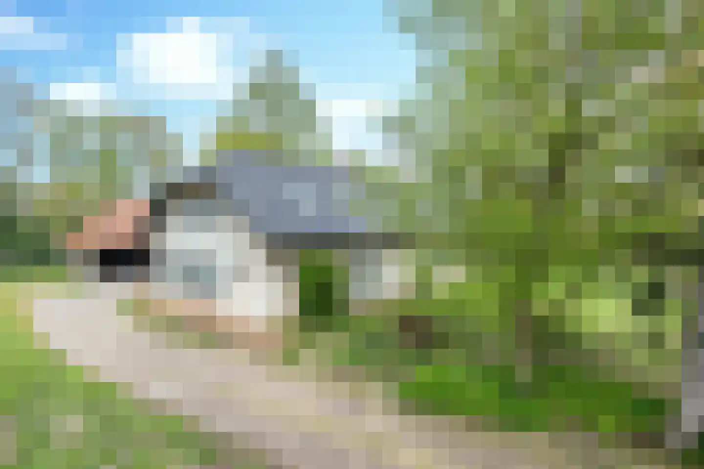 Kleine Voort 9 Hilvarenbeek thumbnail 5