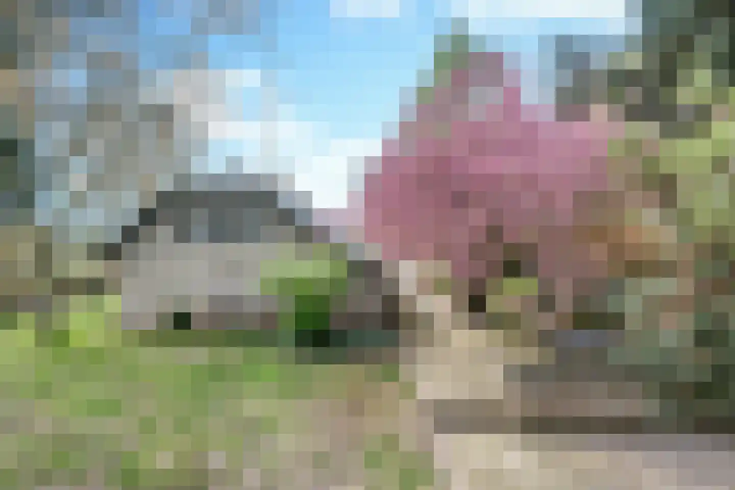 Kleine Voort 9 Hilvarenbeek thumbnail 50