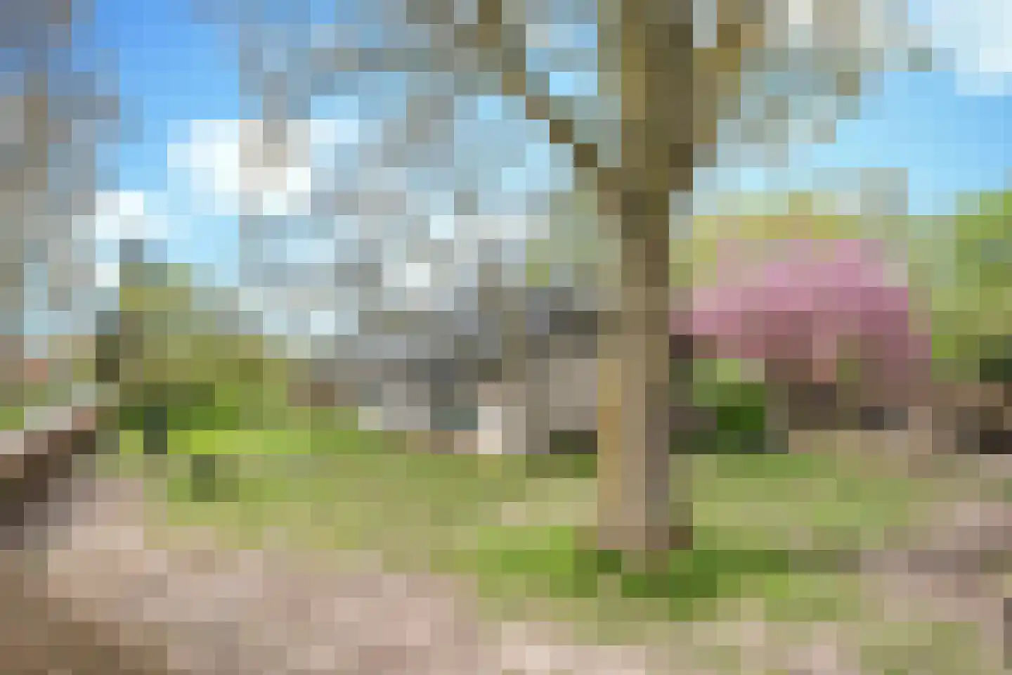 Kleine Voort 9 Hilvarenbeek thumbnail 51