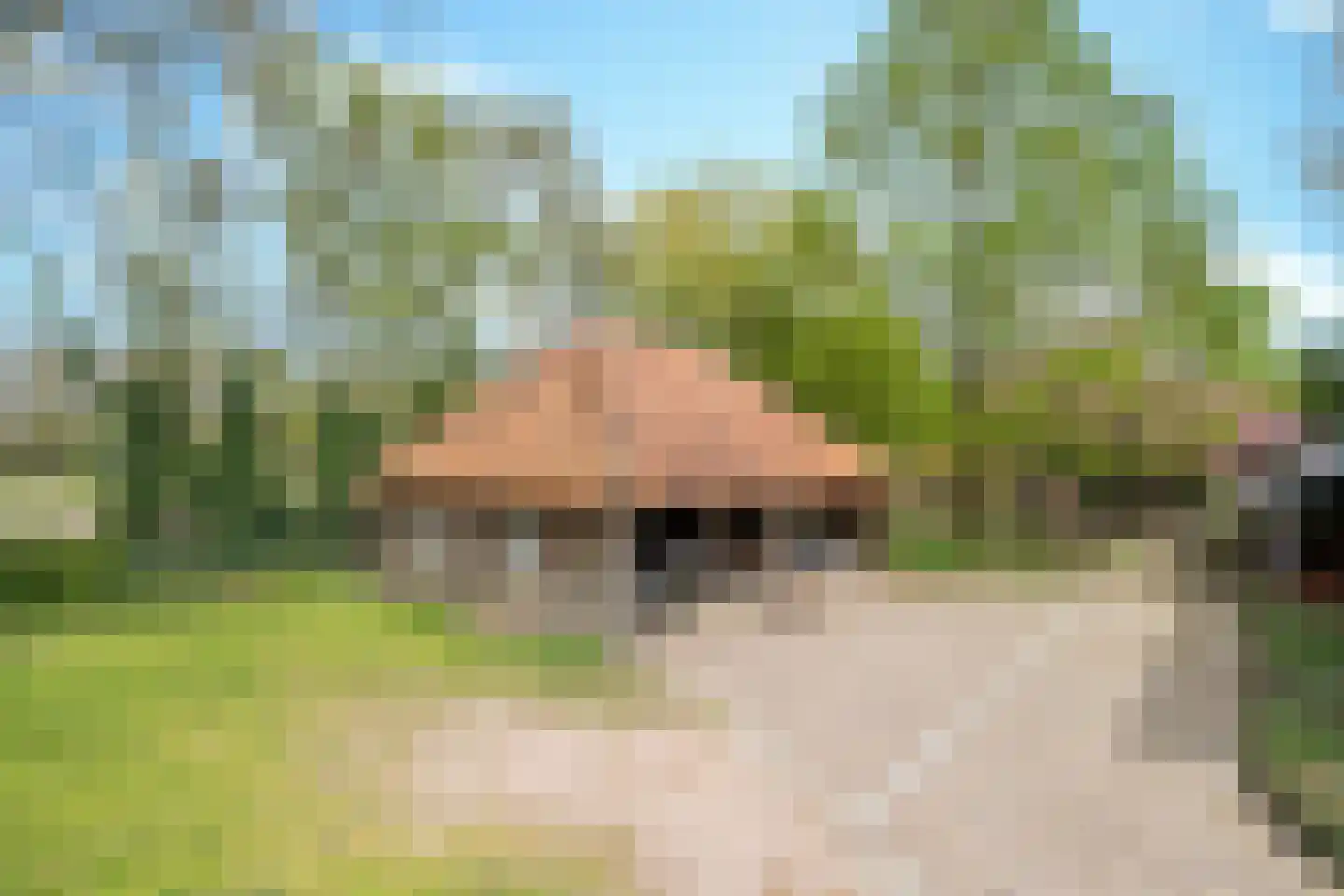 Kleine Voort 9 Hilvarenbeek thumbnail 53