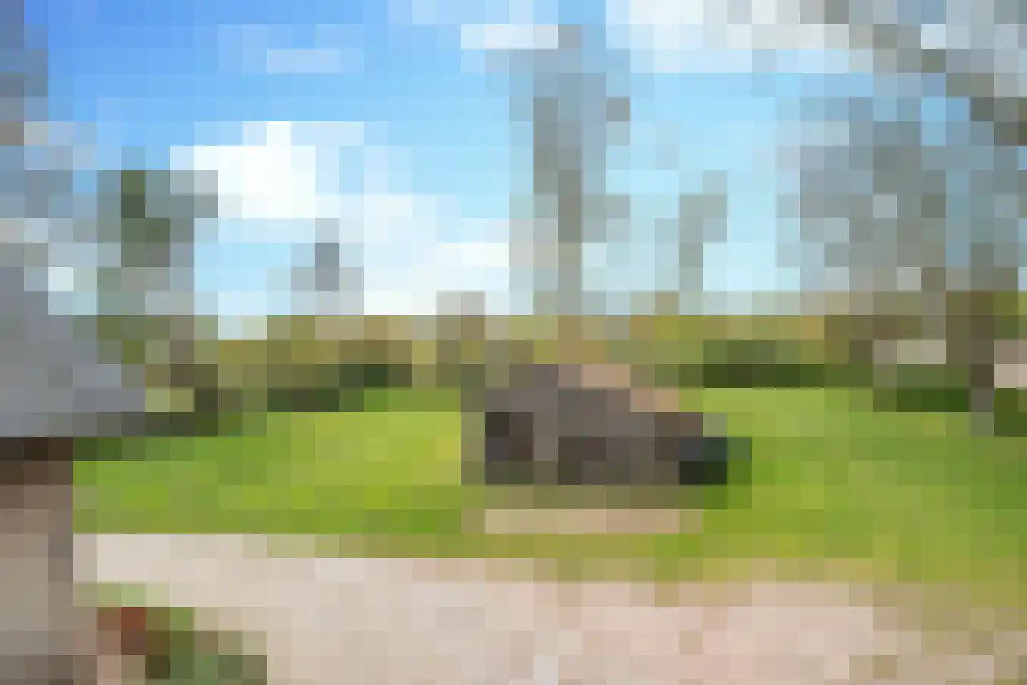 Kleine Voort 9 Hilvarenbeek thumbnail 55