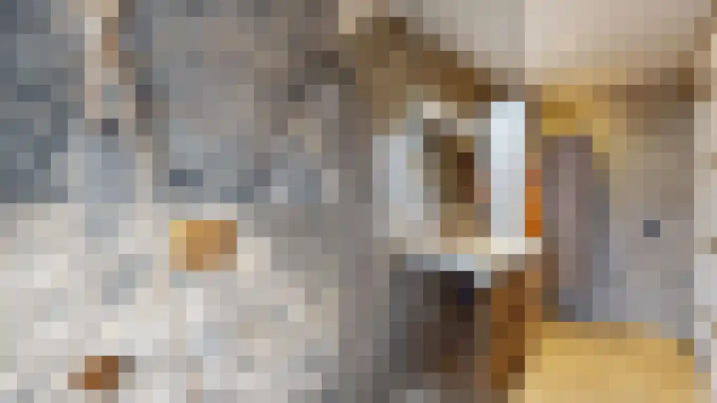 Kleine Voortstraat 10 Landgraaf thumbnail 23