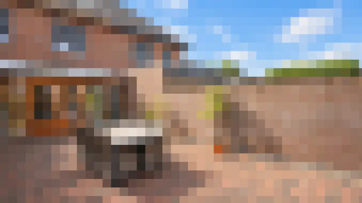 Kleine Voortstraat 10 Landgraaf thumbnail 37