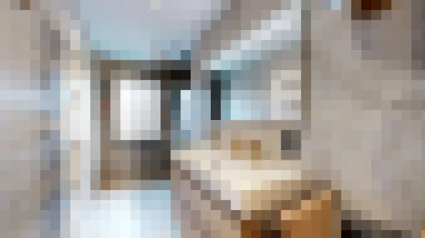 Kleine Voortstraat 10 Landgraaf thumbnail 6