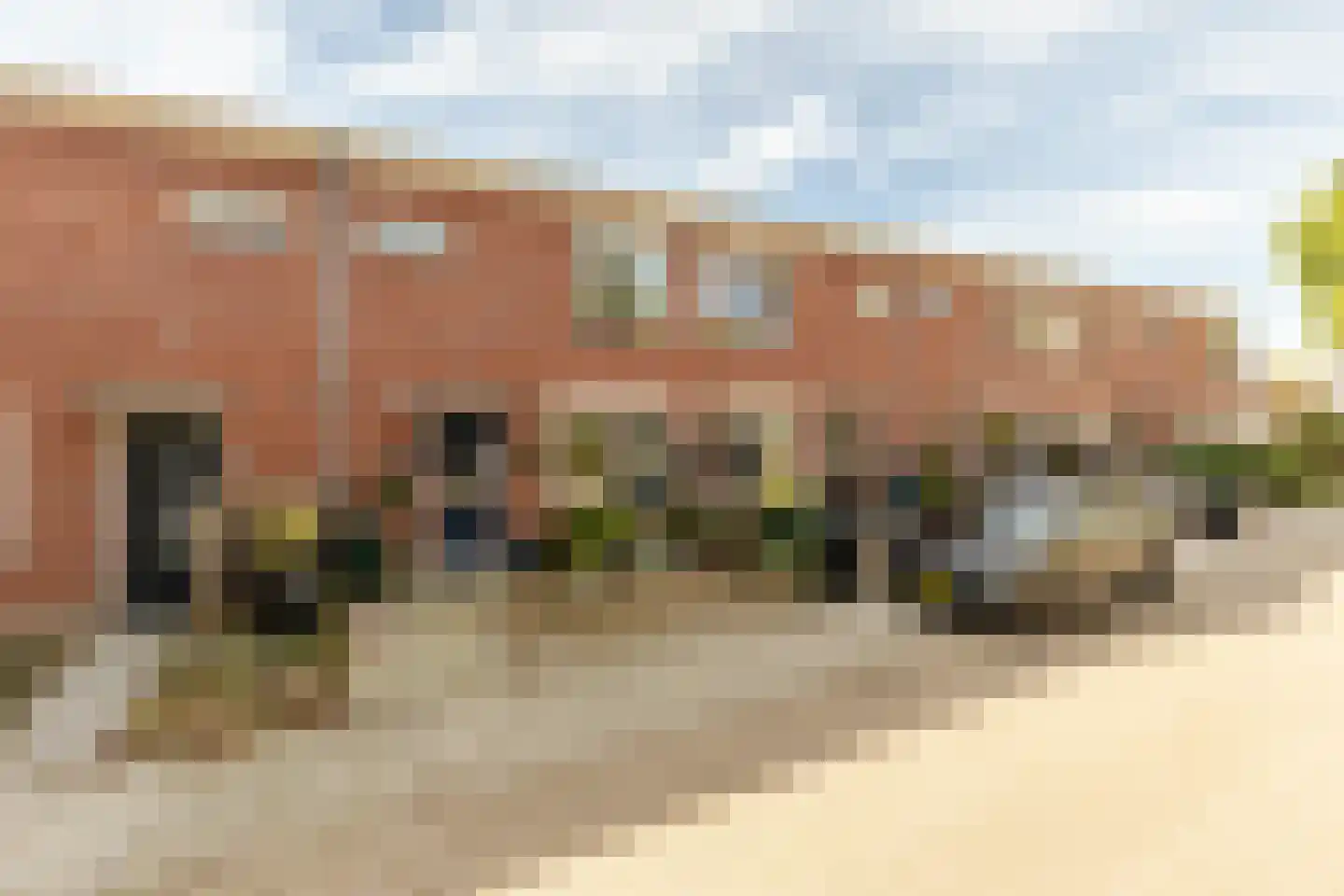 Kleine Vos 10 's-Gravendeel