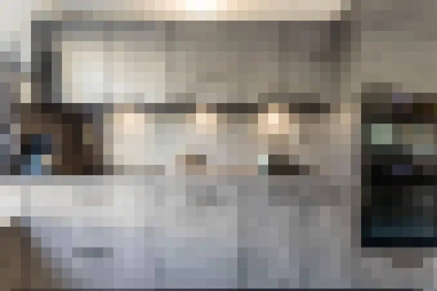 Kleine Vos 10 's-Gravendeel thumbnail 10